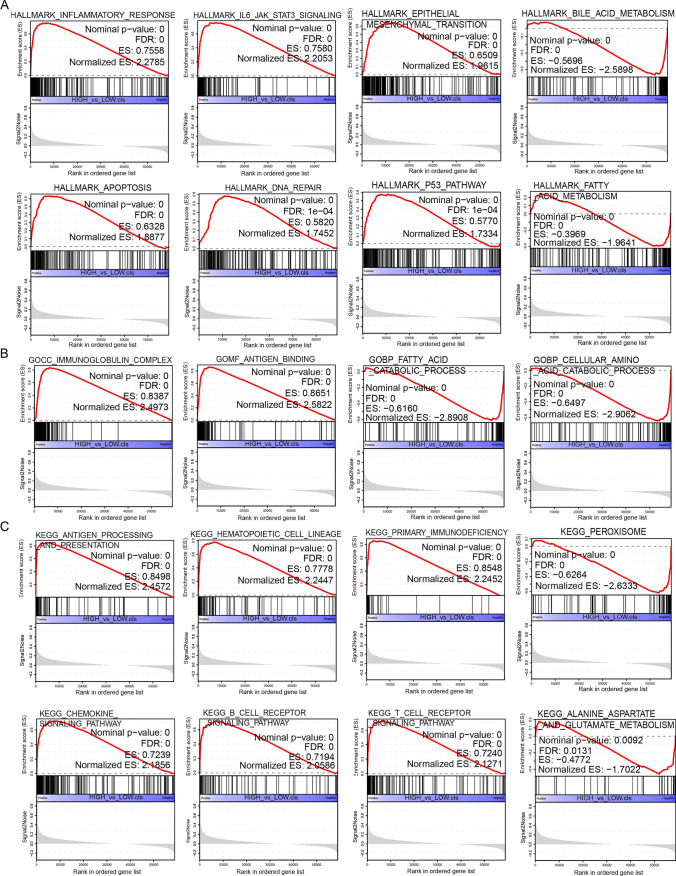 PMC11166624 – Fig11