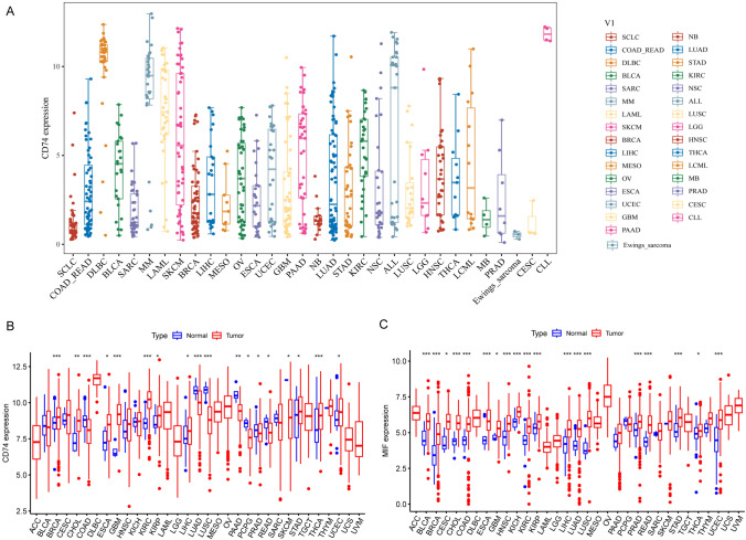 PMC11166624 – Fig1