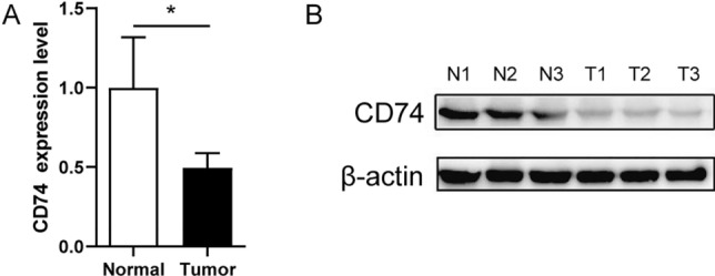 PMC11166624 – Fig2