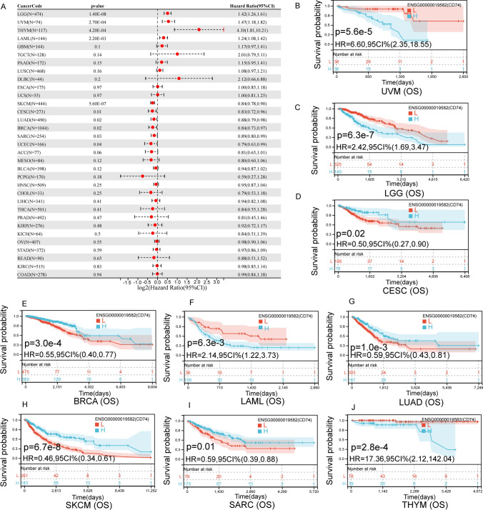 PMC11166624 – Fig3