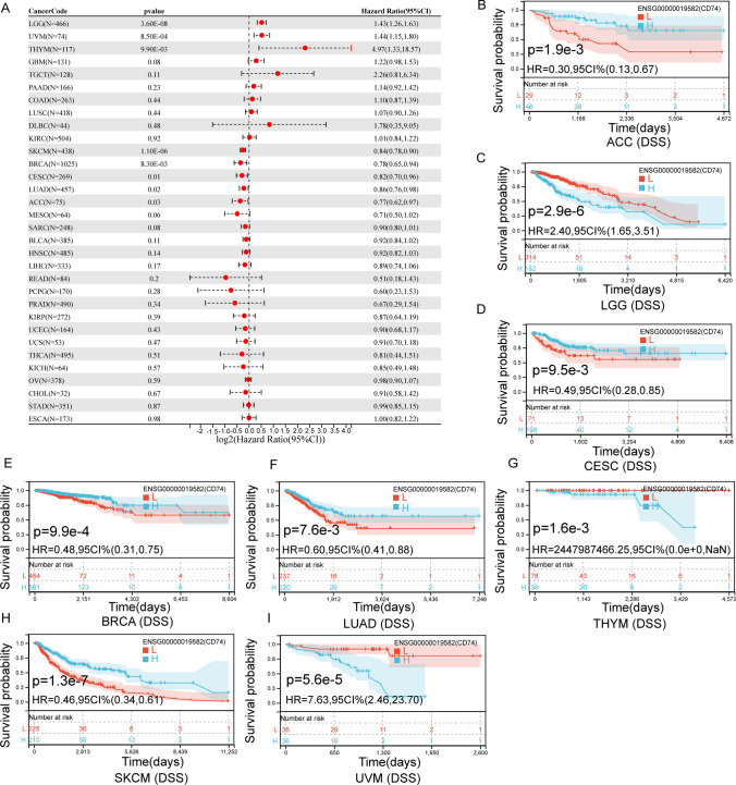 PMC11166624 – Fig4