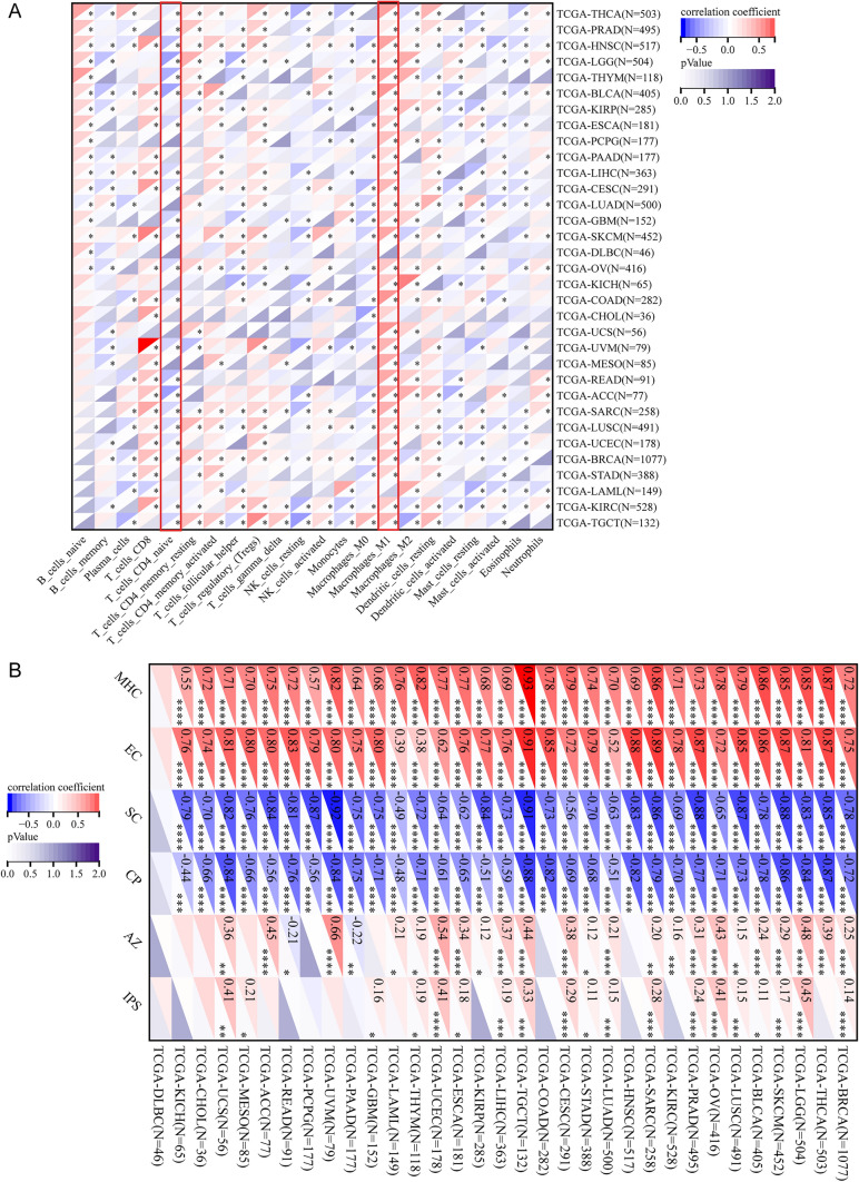 PMC11166624 – Fig7