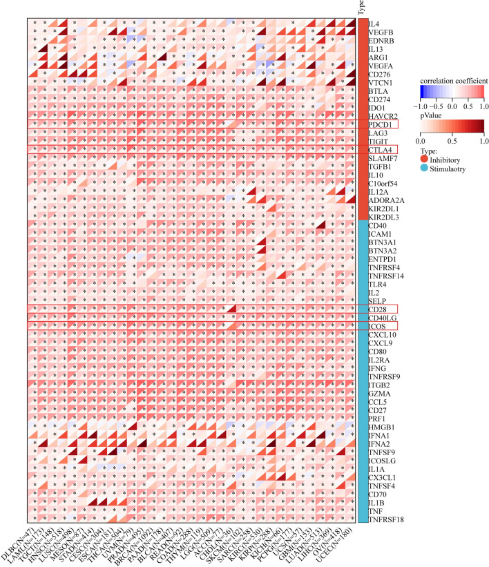 PMC11166624 – Fig9