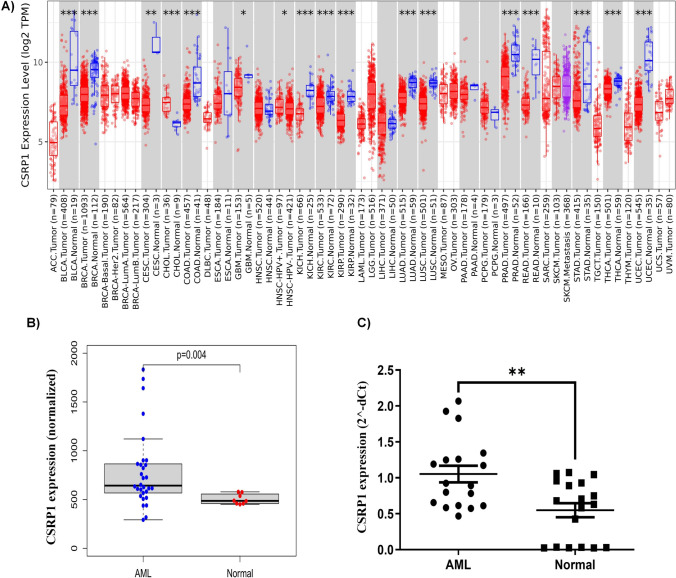 PMC11211298 – Fig1