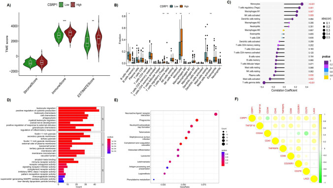 PMC11211298 – Fig4