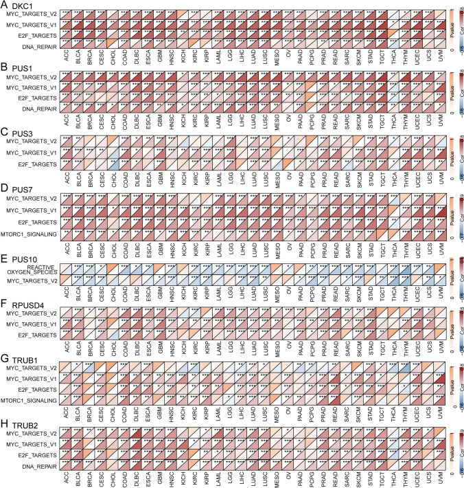 PMC11335713 – Fig4