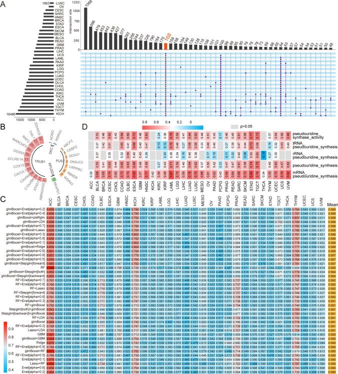PMC11335713 – Fig6