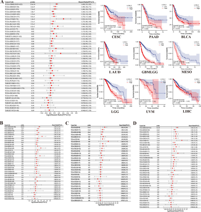 PMC11208360 – Fig2