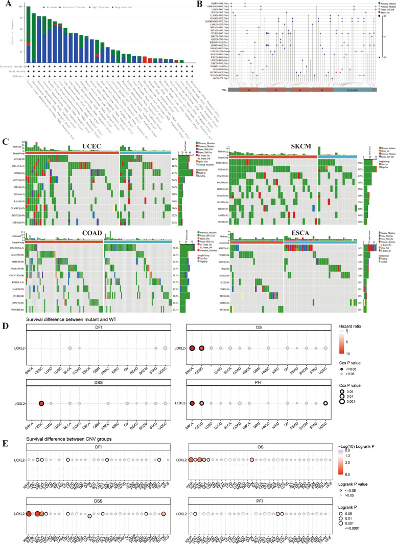 PMC11208360 – Fig3