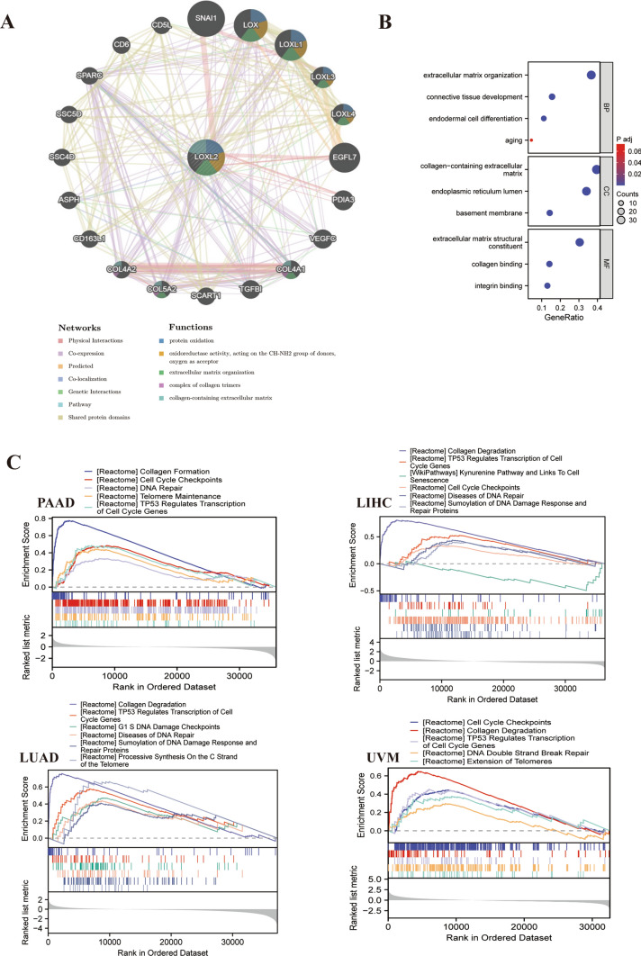 PMC11208360 – Fig5