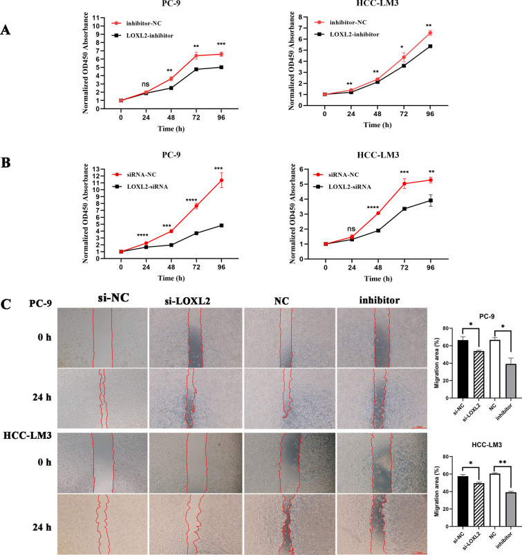 PMC11208360 – Fig6