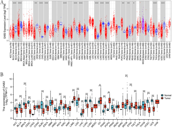 PMC11245454 – Fig1