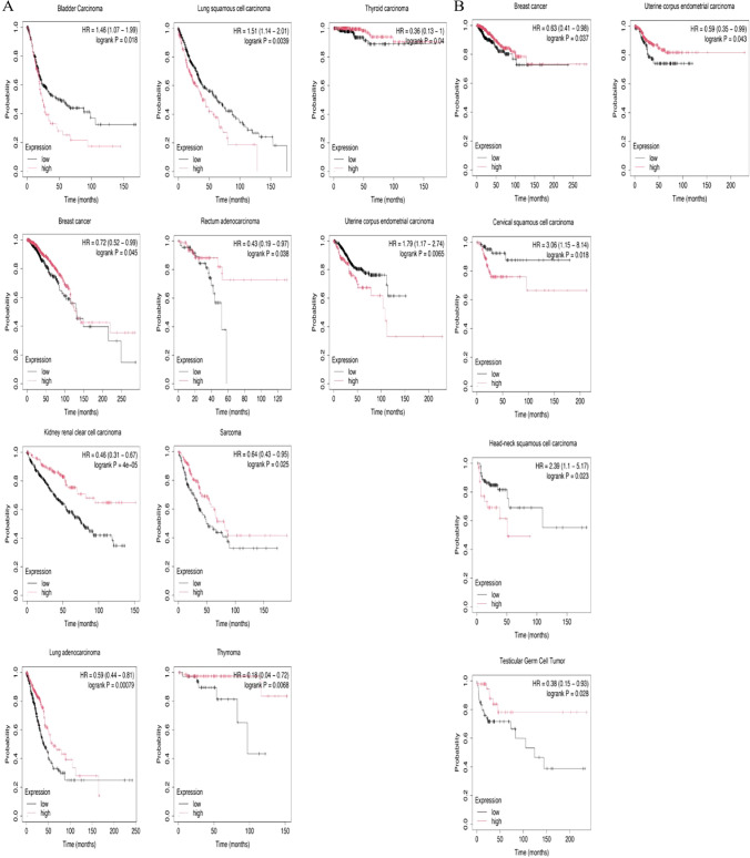PMC11245454 – Fig2