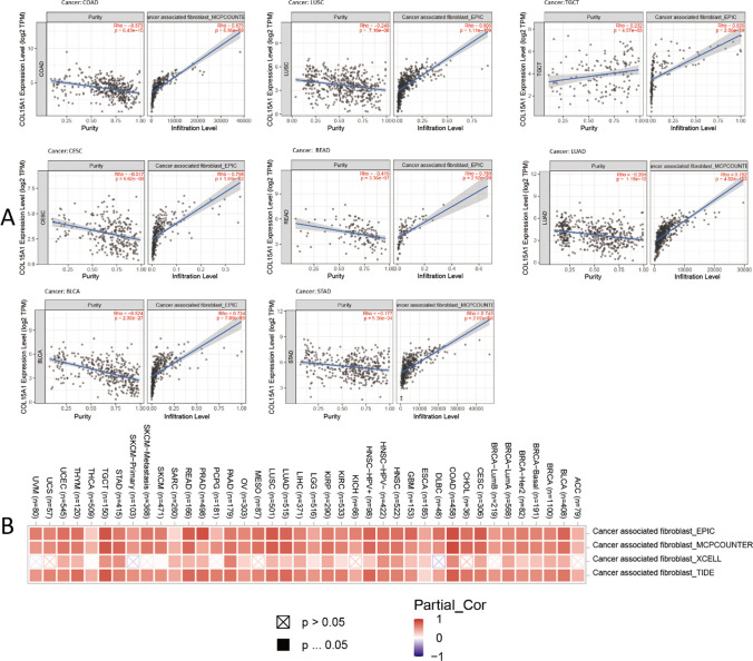 PMC11294514 – Fig11