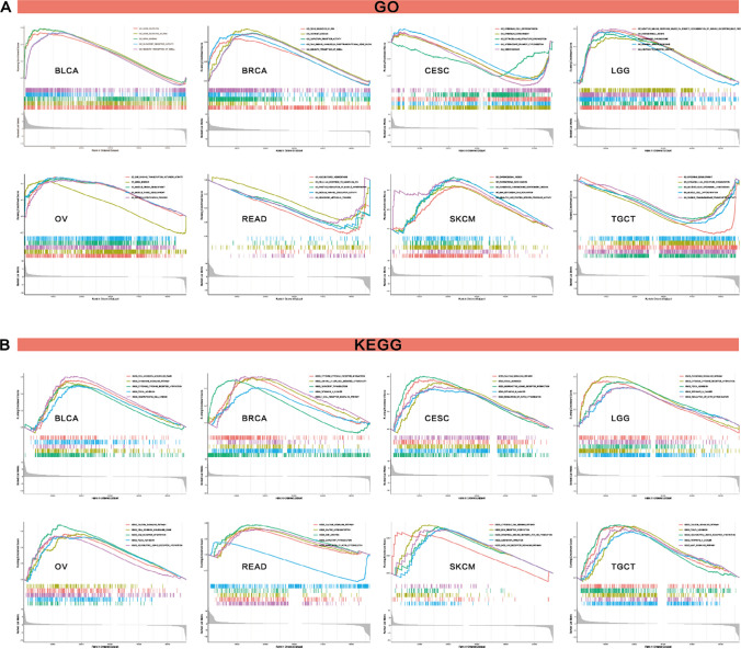 PMC11294514 – Fig18