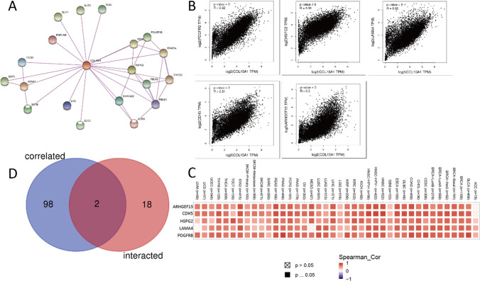 PMC11294514 – Fig19