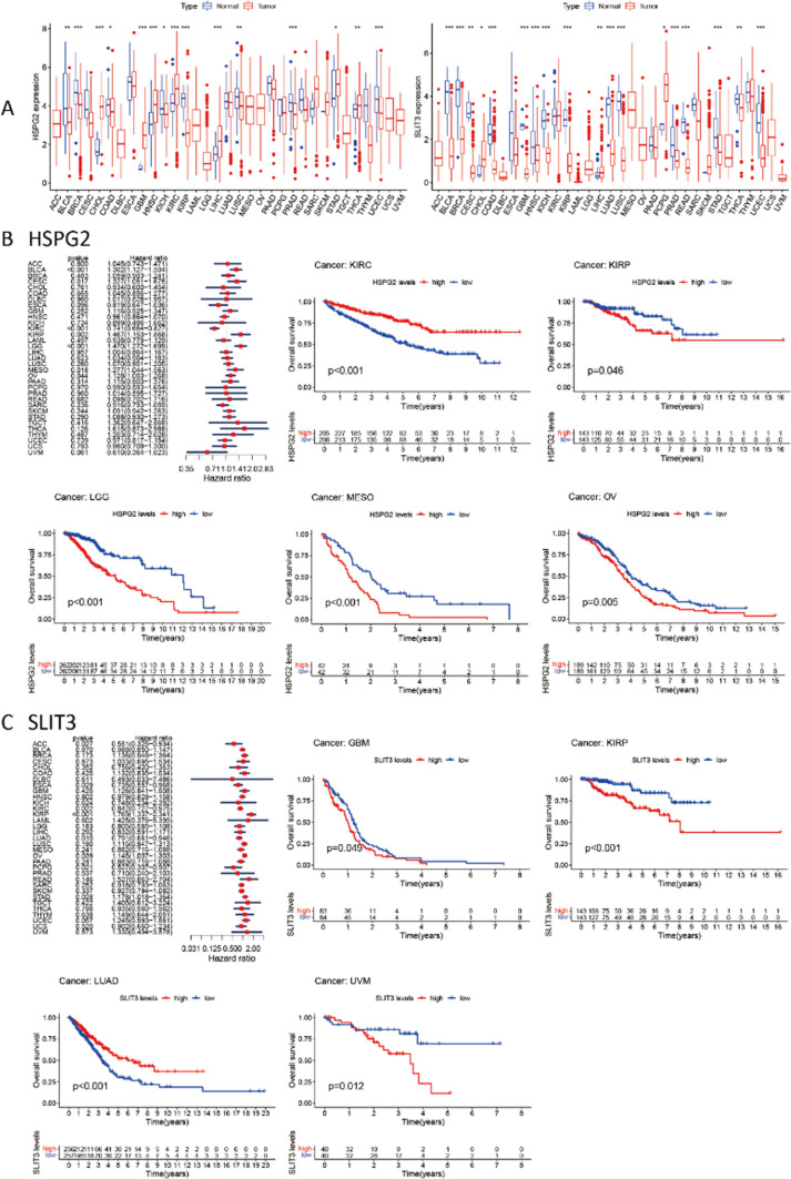 PMC11294514 – Fig20