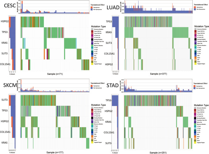 PMC11294514 – Fig21