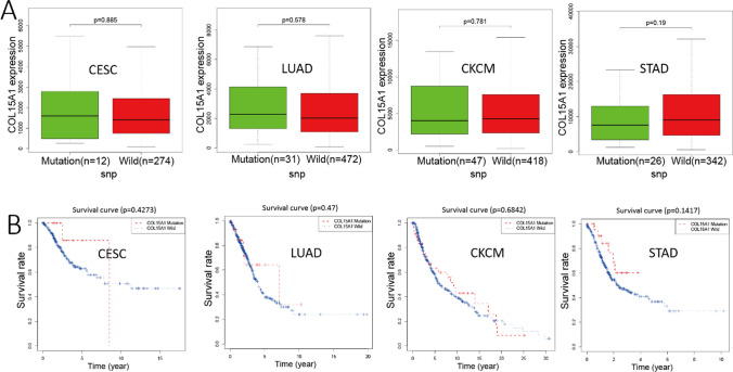 PMC11294514 – Fig22
