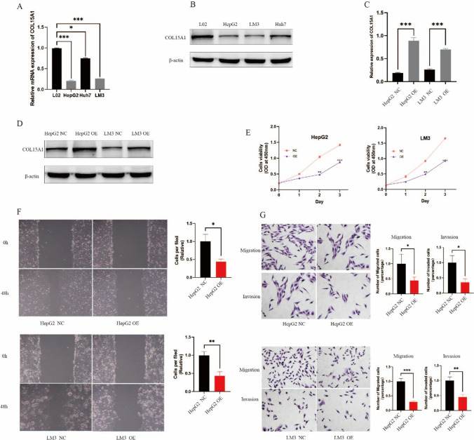 PMC11294514 – Fig23