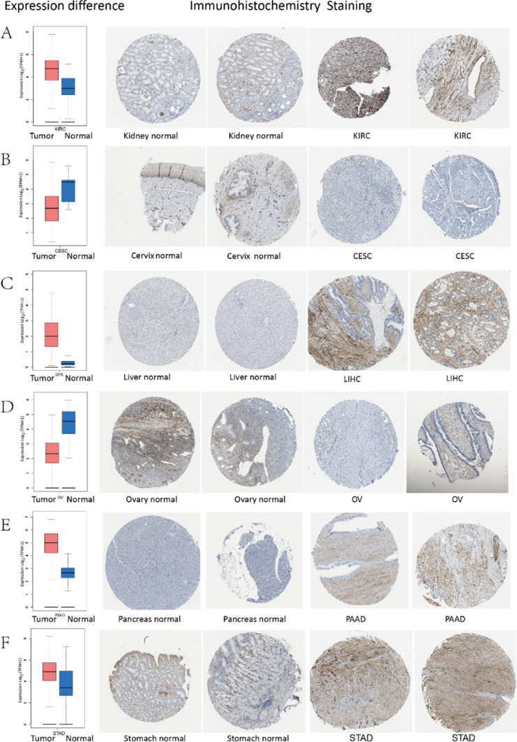 PMC11294514 – Fig2