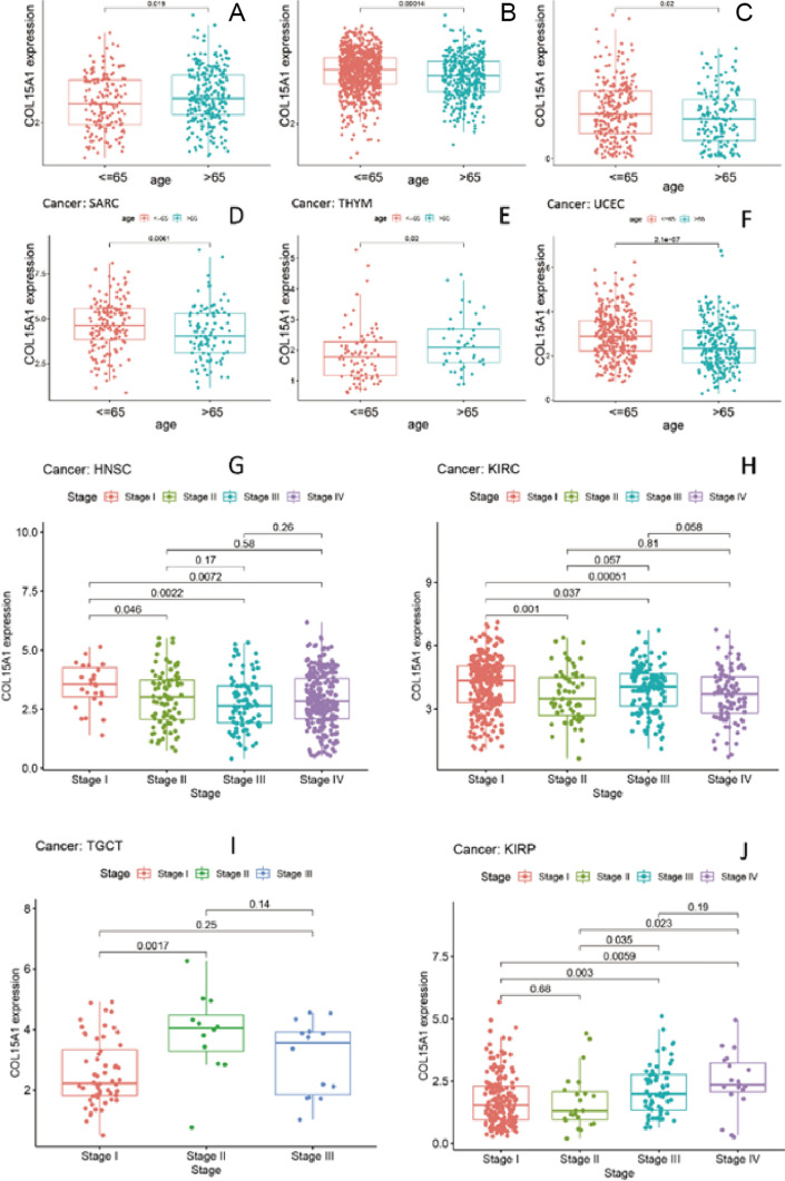 PMC11294514 – Fig7