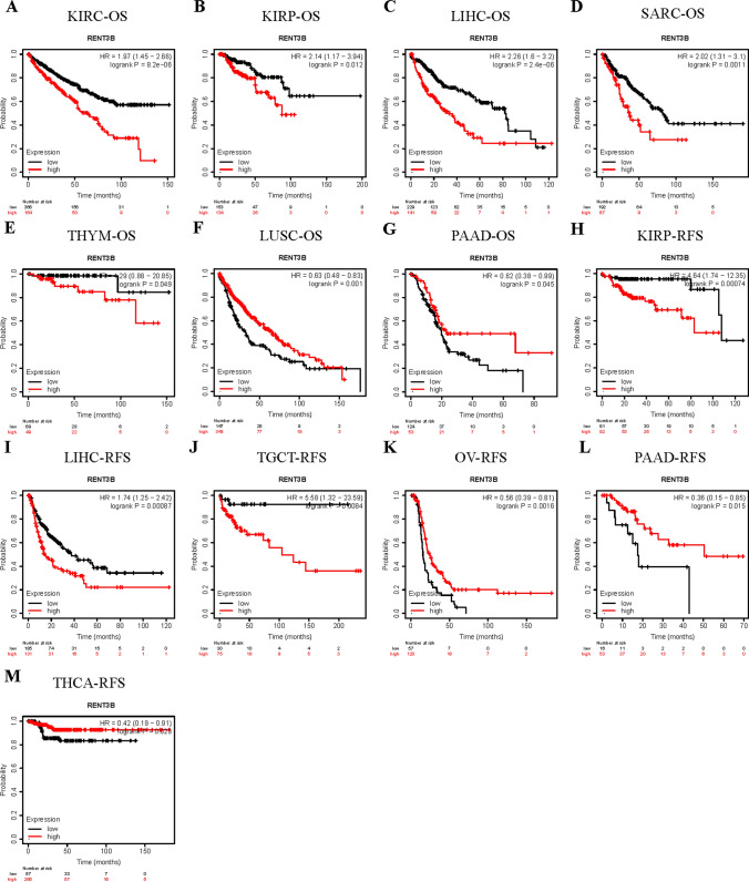 PMC11436519 – Fig4
