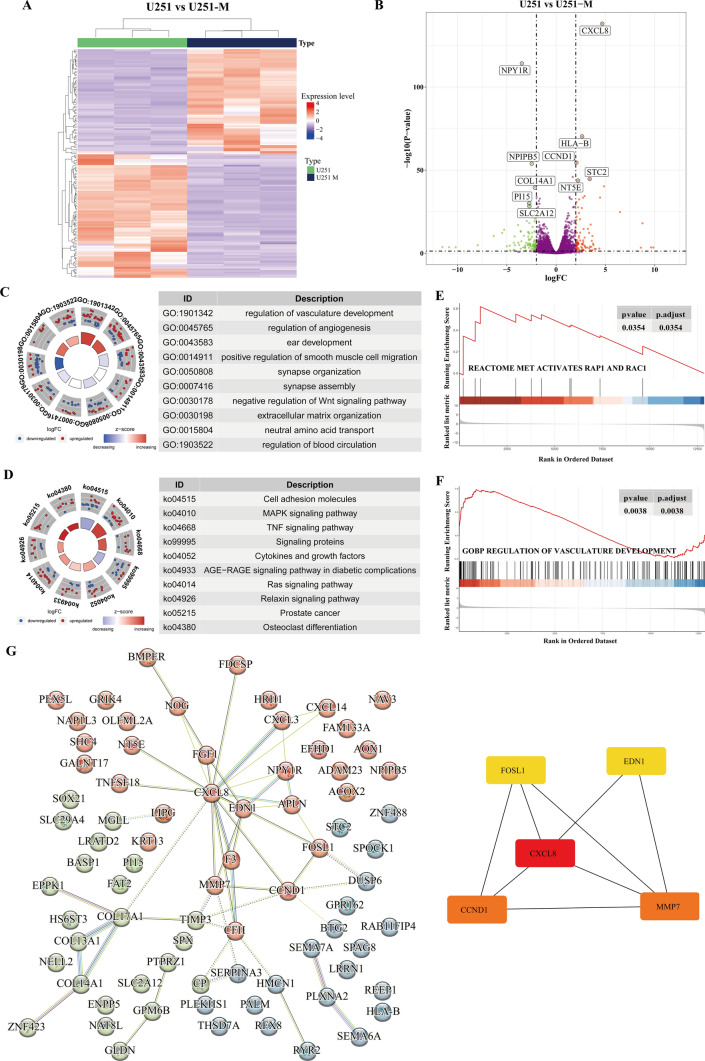 PMC11531453 – Fig1