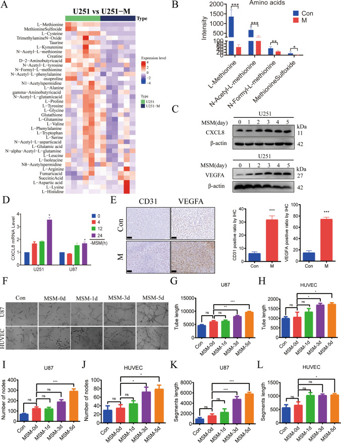 PMC11531453 – Fig3