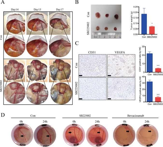 PMC11531453 – Fig4