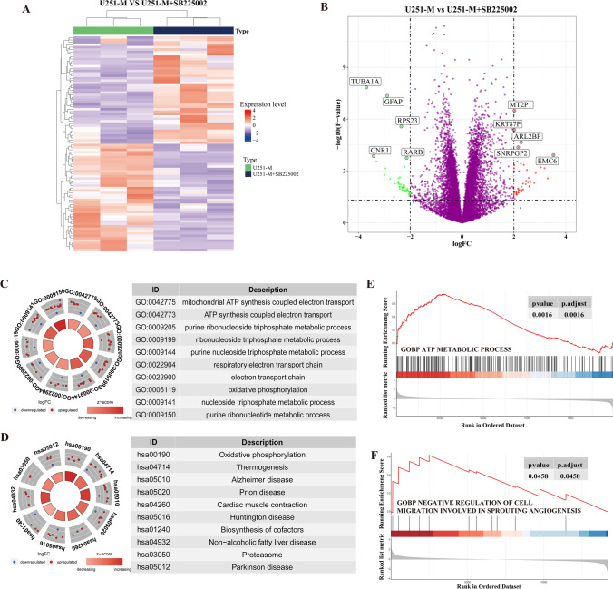 PMC11531453 – Fig5
