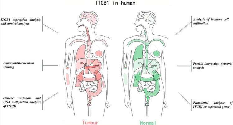 PMC10894187 – Fig1