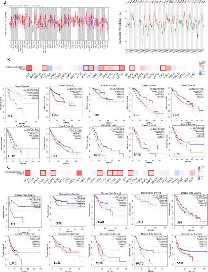 PMC10894187 – Fig2