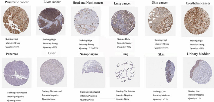 PMC10894187 – Fig3