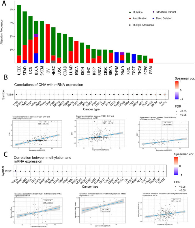 PMC10894187 – Fig4