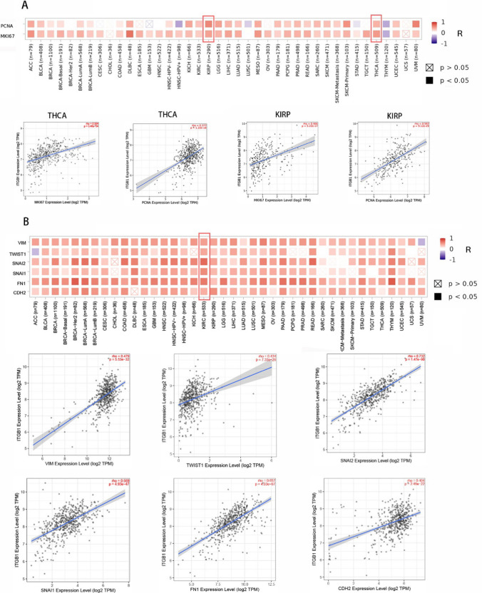 PMC10894187 – Fig5