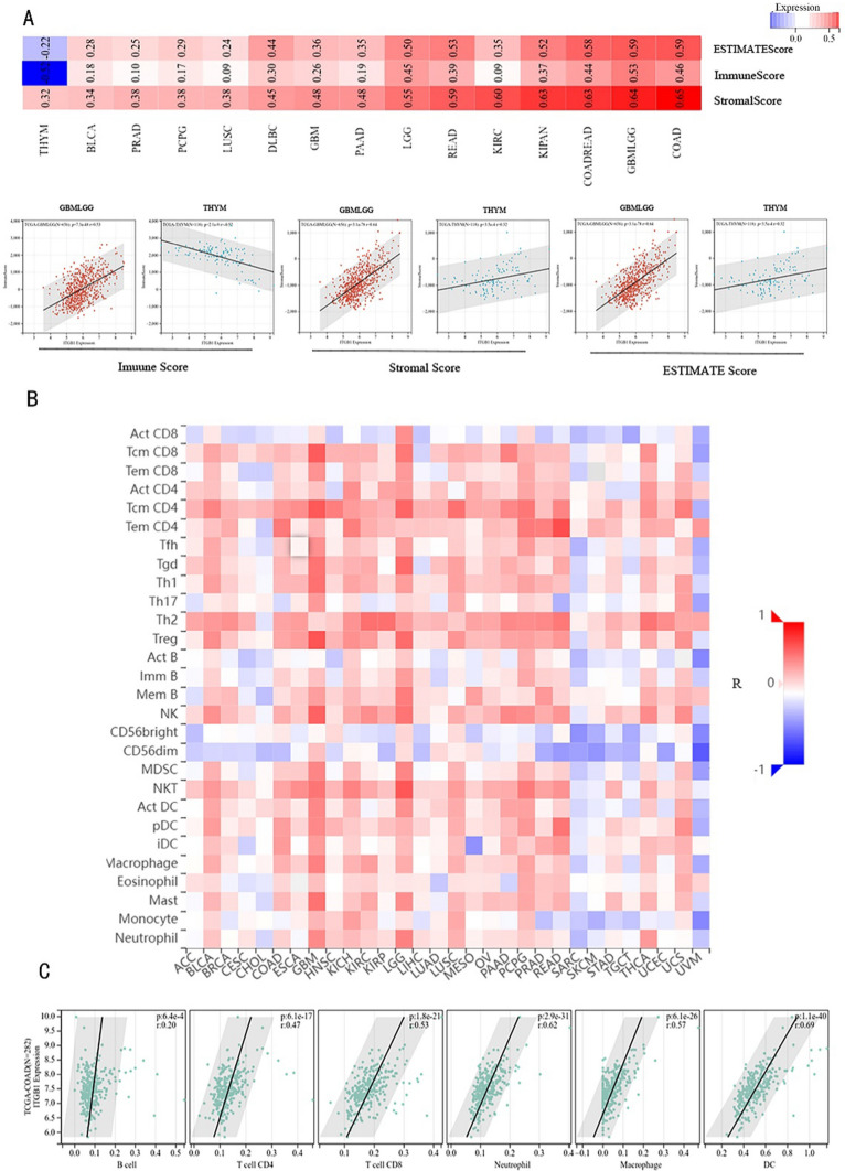 PMC10894187 – Fig6