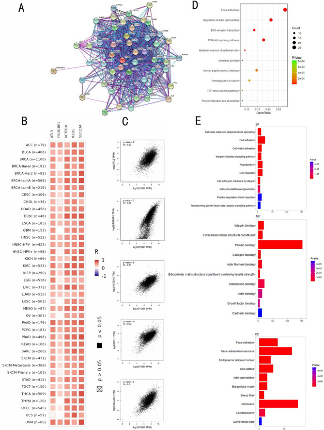 PMC10894187 – Fig8