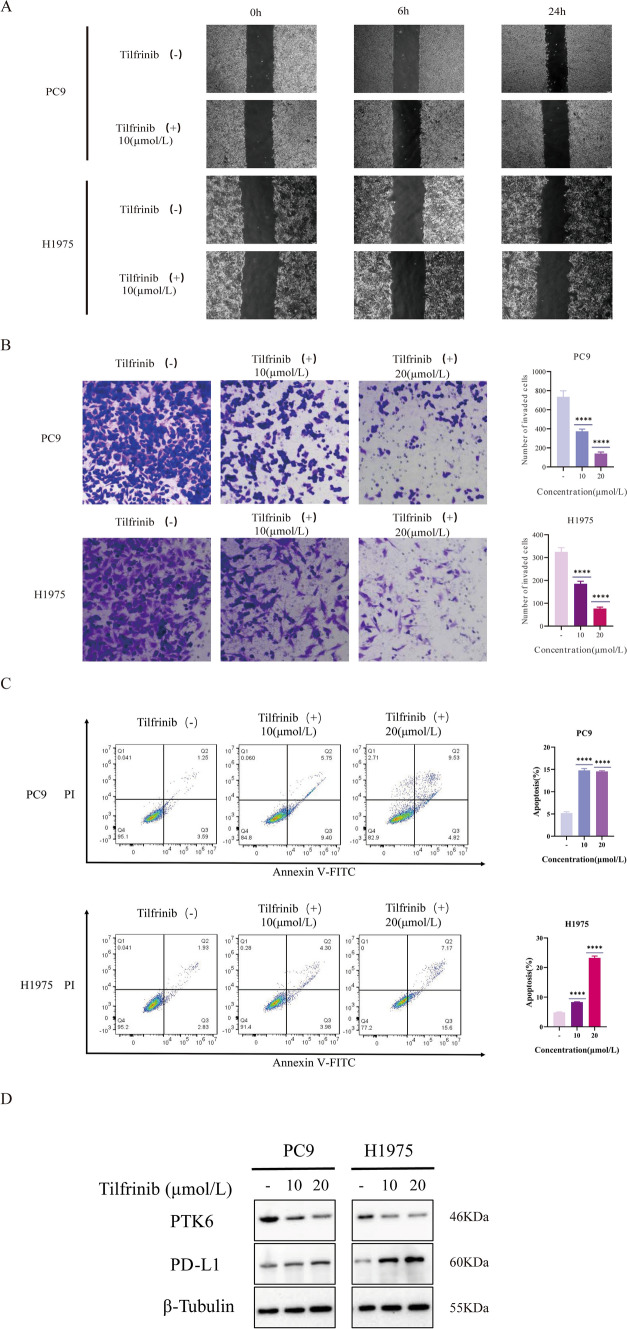 PMC10994900 – Fig10
