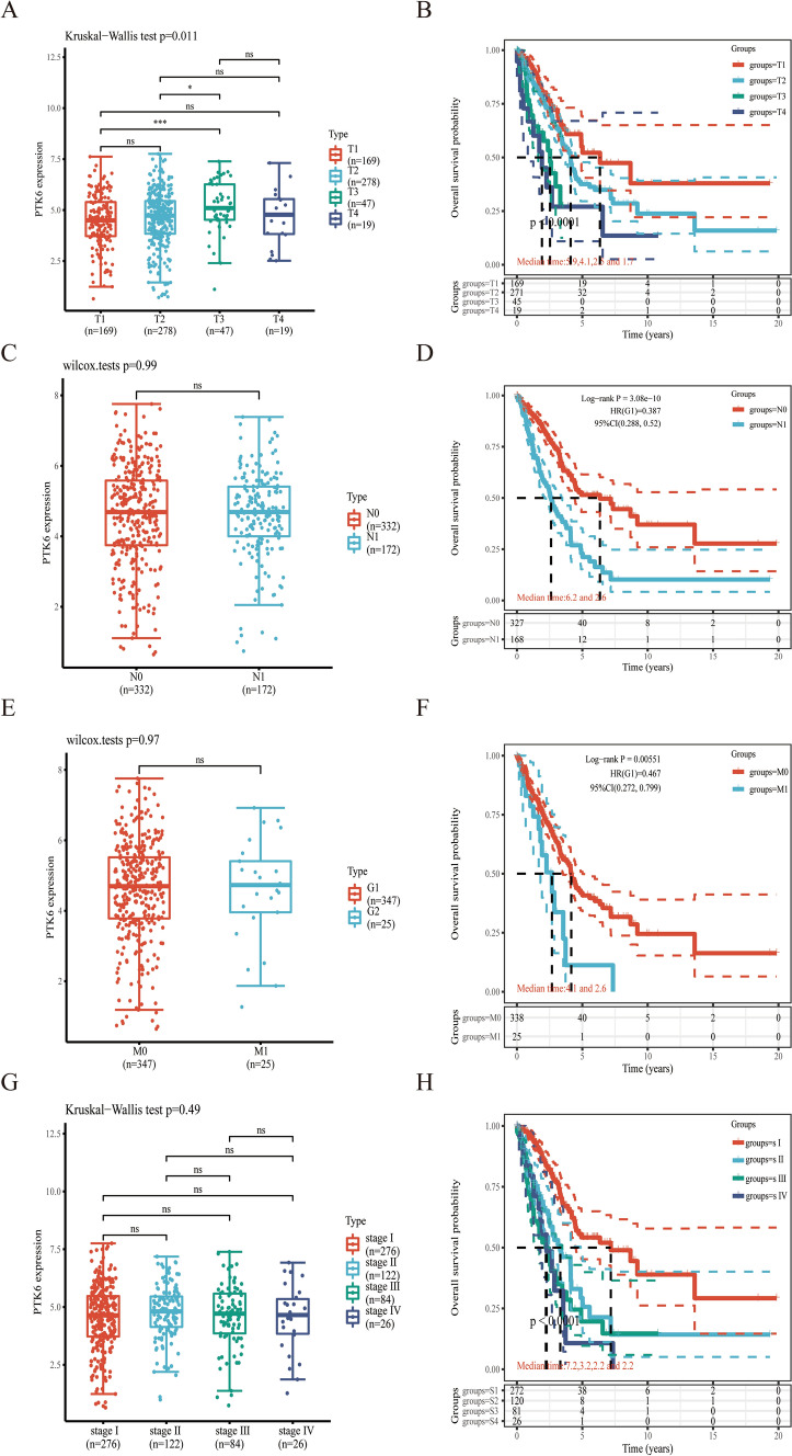 PMC10994900 – Fig2