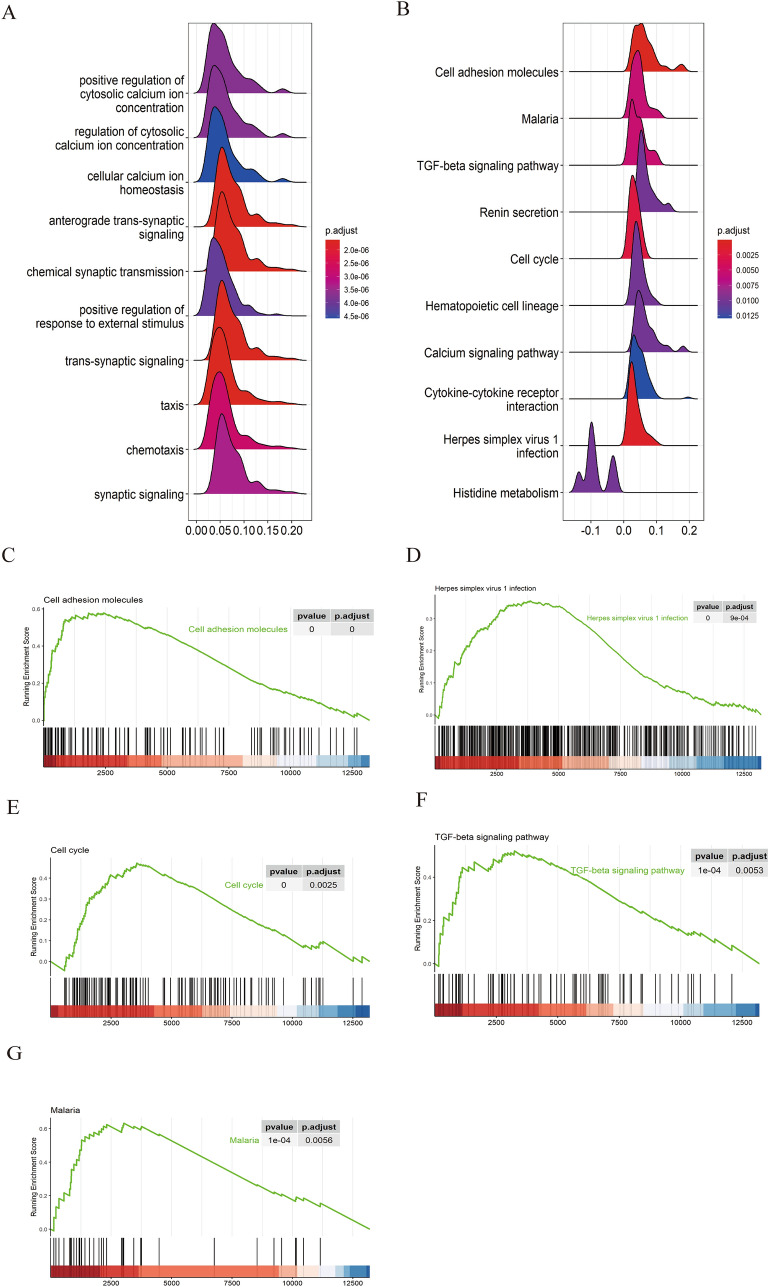 PMC10994900 – Fig5