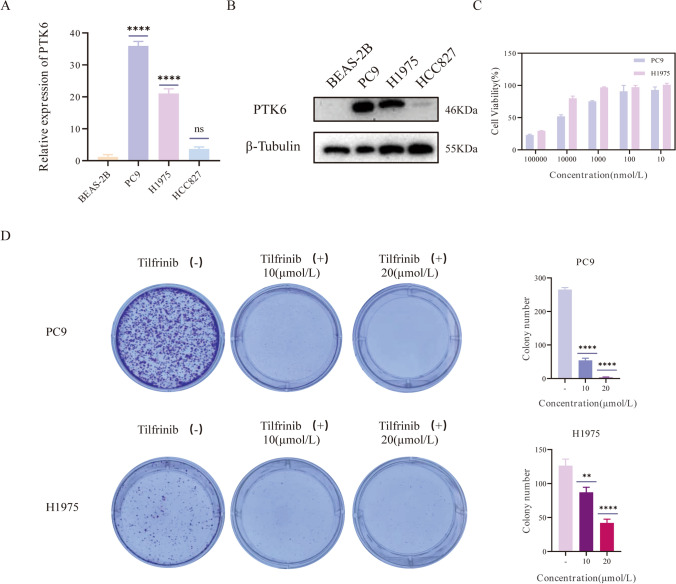 PMC10994900 – Fig9