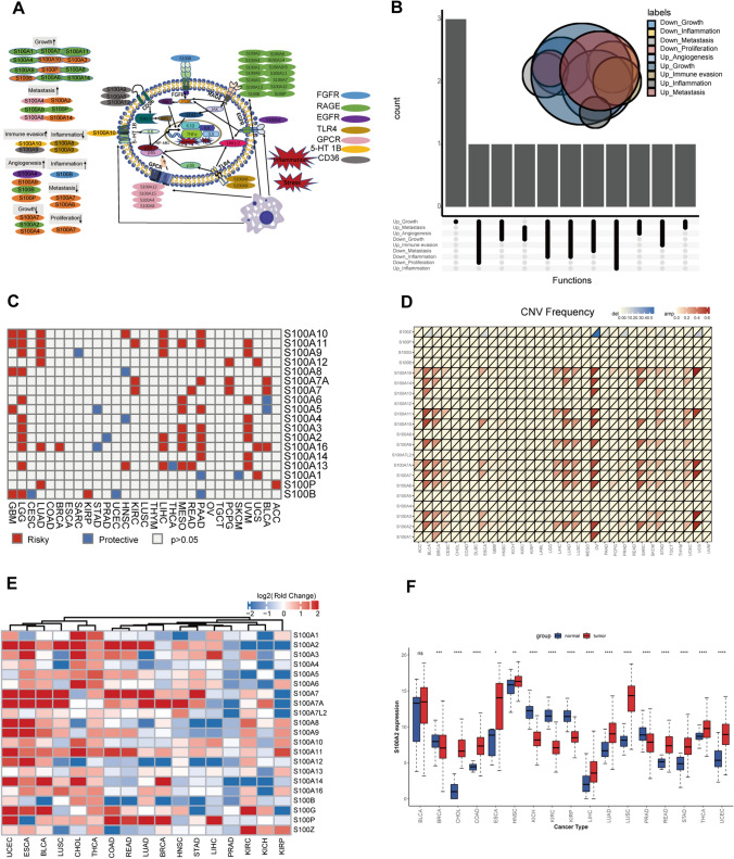 PMC11058162 – Fig2