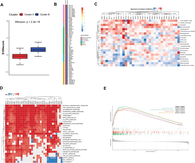 PMC11058162 – Fig5