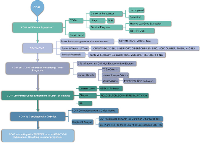 PMC11078914 – Fig1