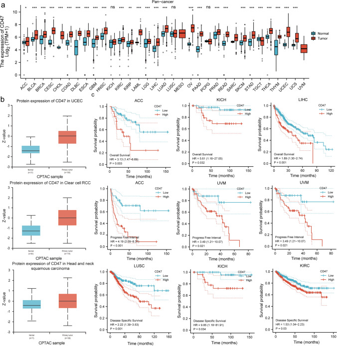 PMC11078914 – Fig2