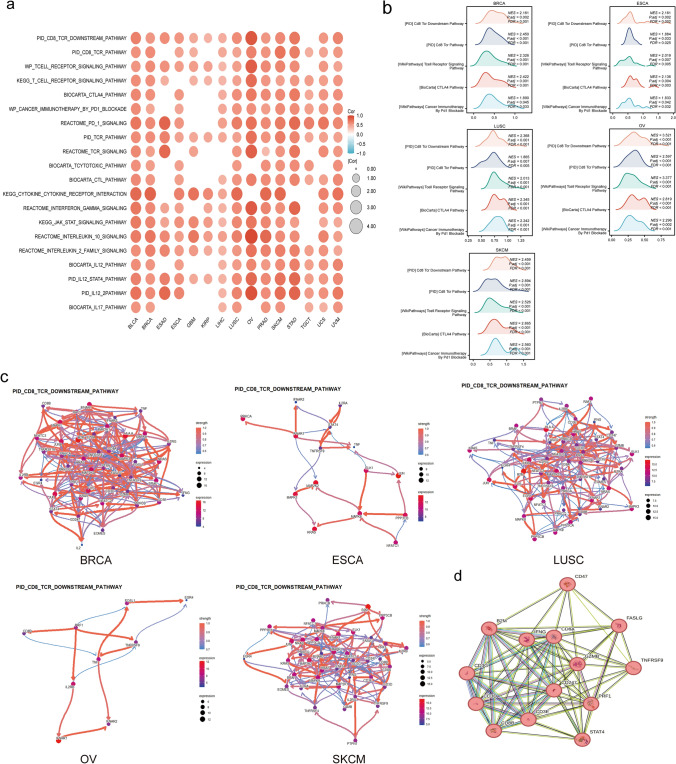 PMC11078914 – Fig5