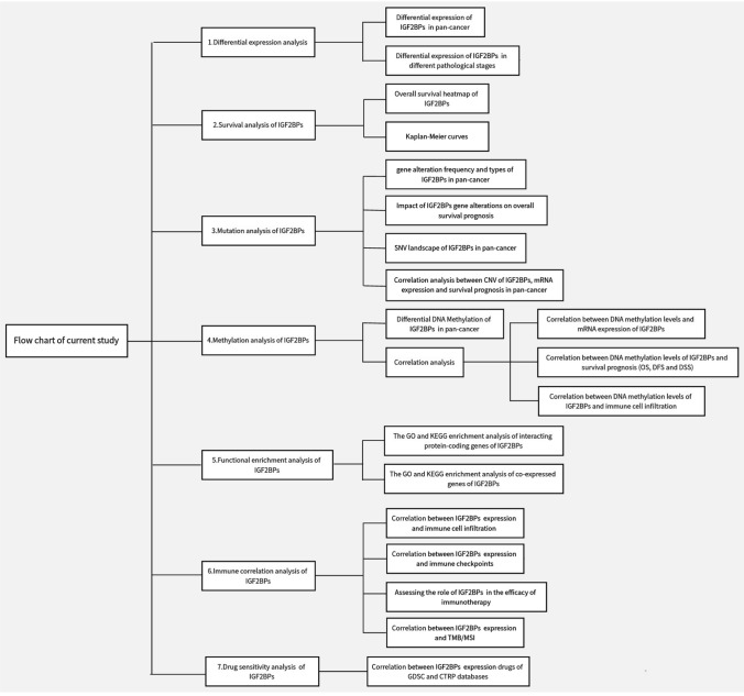 PMC11910485 – Fig1