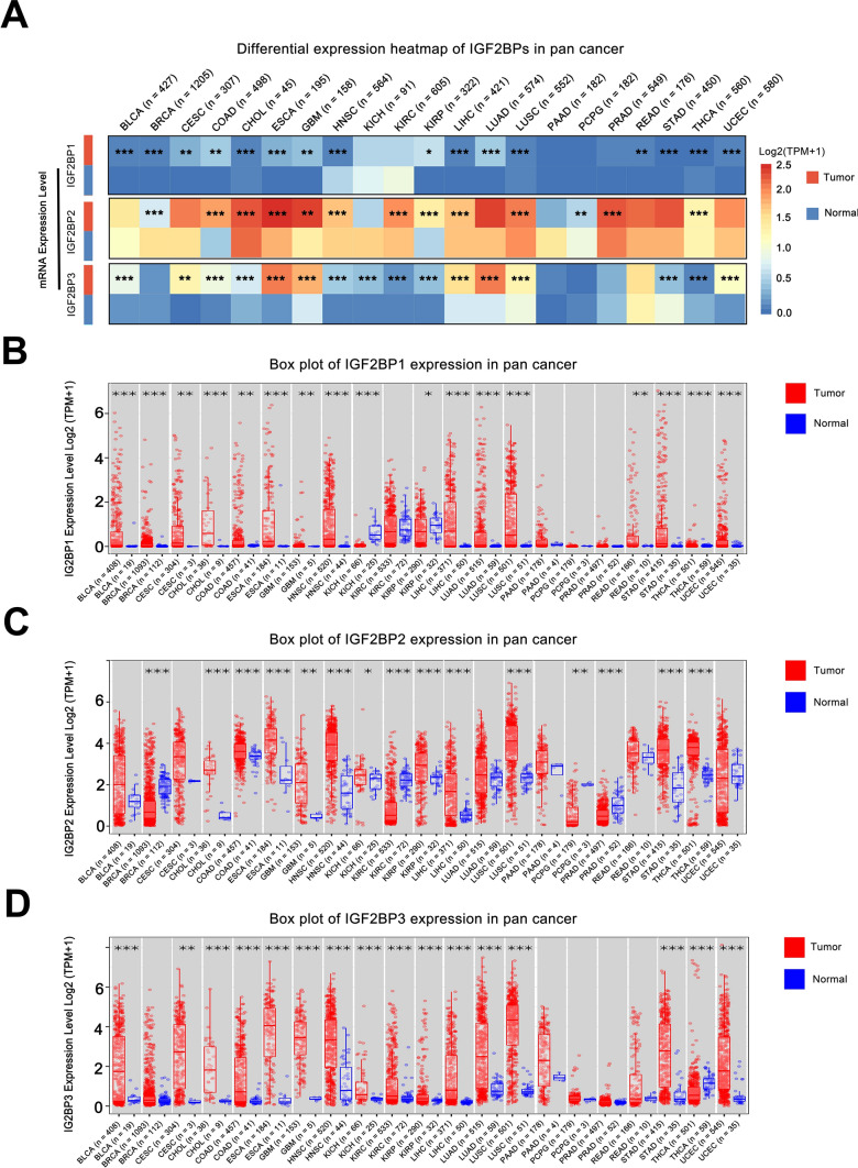 PMC11910485 – Fig2