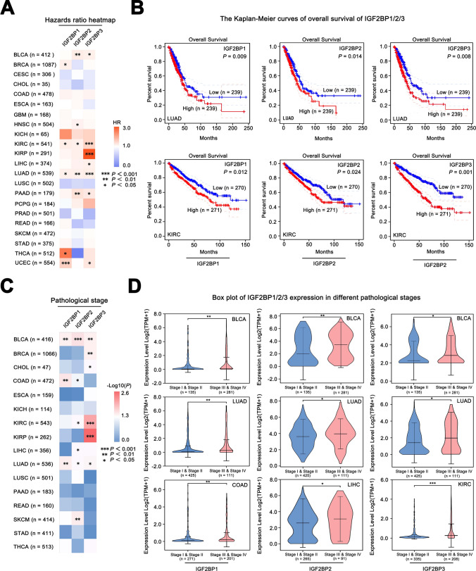 PMC11910485 – Fig3